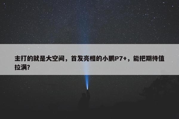 主打的就是大空间，首发亮相的小鹏P7+，能把期待值拉满？