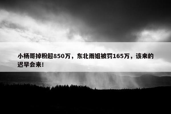 小杨哥掉粉超850万，东北雨姐被罚165万，该来的迟早会来！