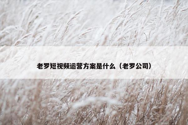 老罗短视频运营方案是什么（老罗公司）