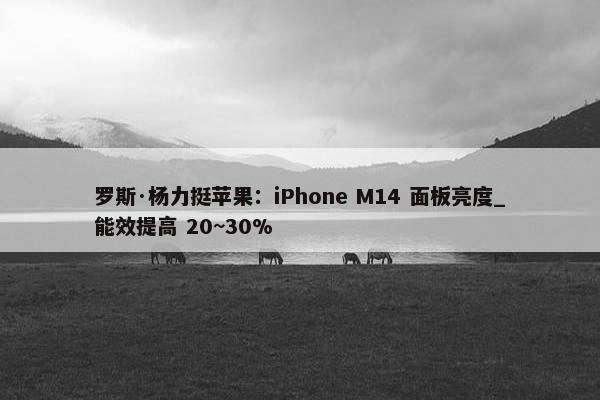 罗斯·杨力挺苹果：iPhone M14 面板亮度_能效提高 20~30%