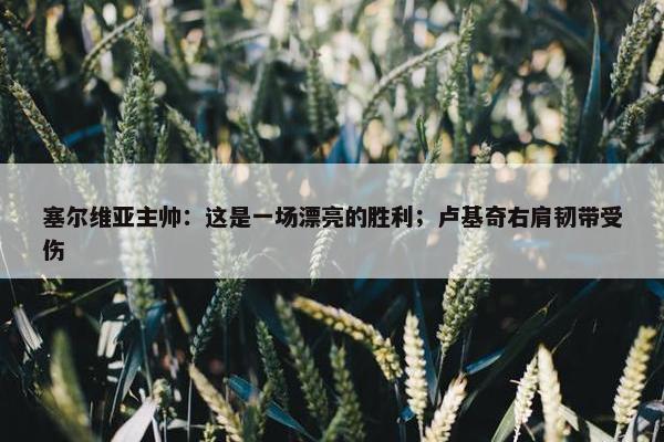 塞尔维亚主帅：这是一场漂亮的胜利；卢基奇右肩韧带受伤