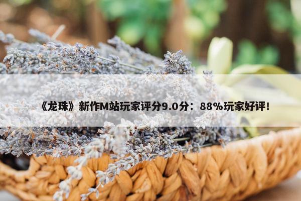 《龙珠》新作M站玩家评分9.0分：88%玩家好评！