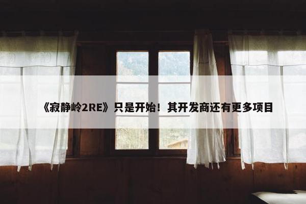 《寂静岭2RE》只是开始！其开发商还有更多项目