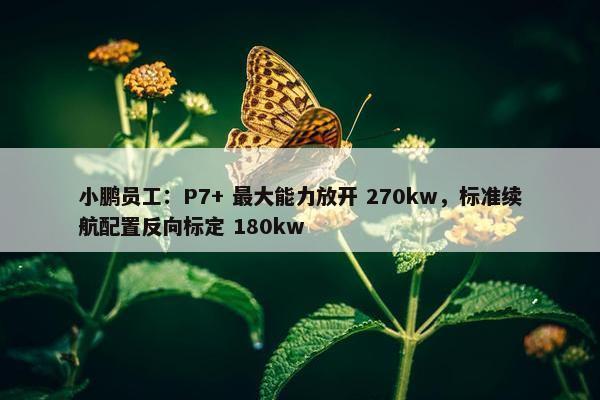 小鹏员工：P7+ 最大能力放开 270kw，标准续航配置反向标定 180kw