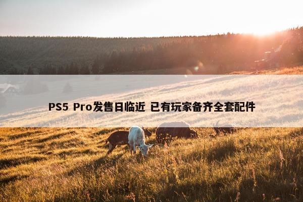 PS5 Pro发售日临近 已有玩家备齐全套配件