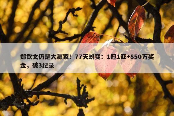 郑钦文仍是大赢家！77天蜕变：1冠1亚+850万奖金，破3纪录