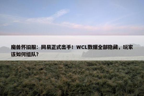 魔兽怀旧服：网易正式出手！WCL数据全部隐藏，玩家该如何组队？