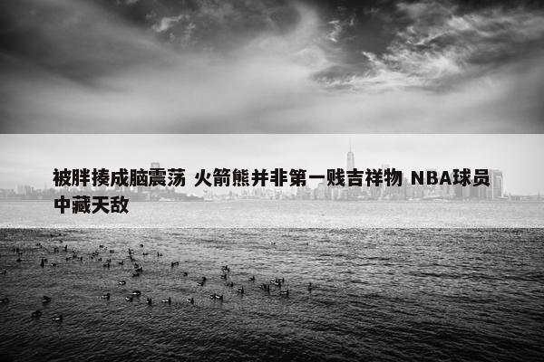 被胖揍成脑震荡 火箭熊并非第一贱吉祥物 NBA球员中藏天敌