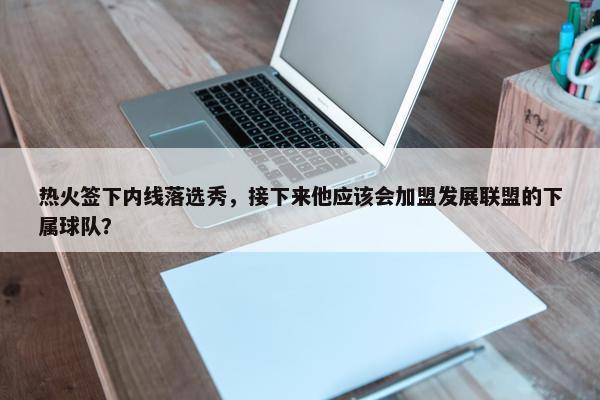 热火签下内线落选秀，接下来他应该会加盟发展联盟的下属球队？