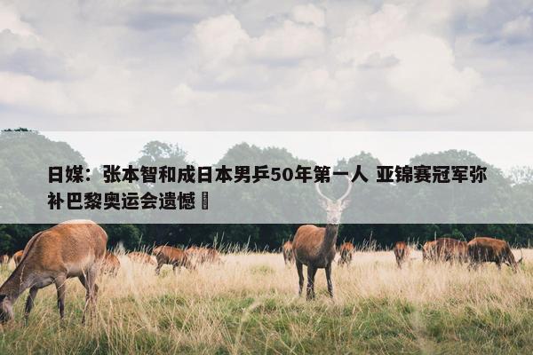 日媒：张本智和成日本男乒50年第一人 亚锦赛冠军弥补巴黎奥运会遗憾 