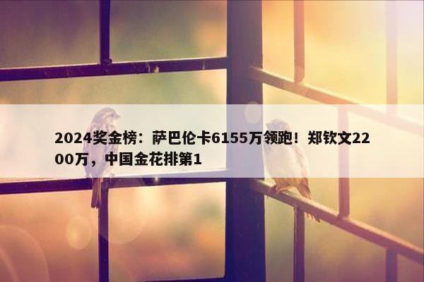 2024奖金榜：萨巴伦卡6155万领跑！郑钦文2200万，中国金花排第1