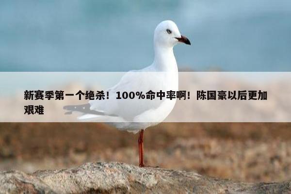 新赛季第一个绝杀！100%命中率啊！陈国豪以后更加艰难