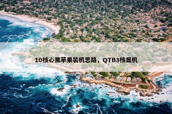 10核心黑苹果装机思路，QTB3核显机