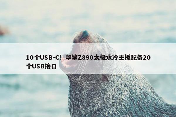 10个USB-C！华擎Z890太极水冷主板配备20个USB接口