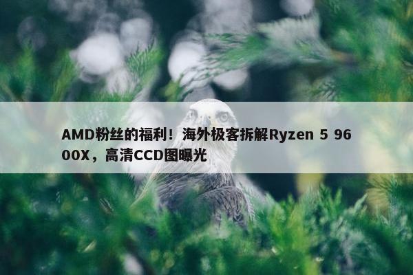 AMD粉丝的福利！海外极客拆解Ryzen 5 9600X，高清CCD图曝光