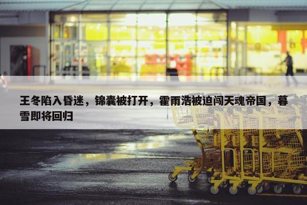 王冬陷入昏迷，锦囊被打开，霍雨浩被迫闯天魂帝国，暮雪即将回归