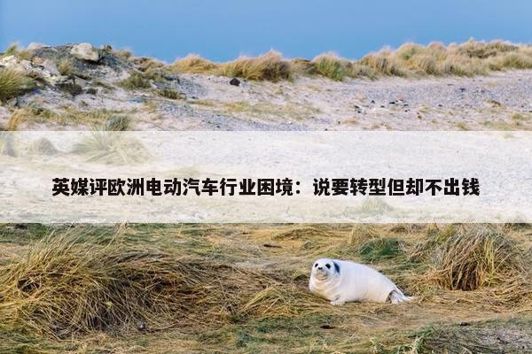 英媒评欧洲电动汽车行业困境：说要转型但却不出钱