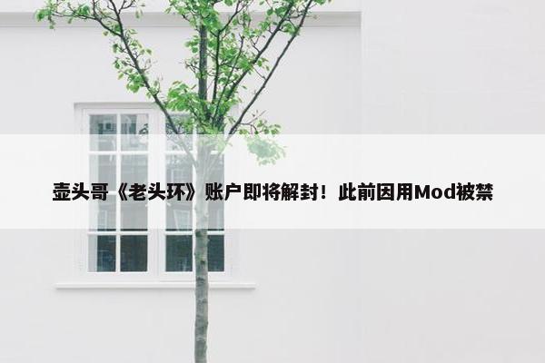 壶头哥《老头环》账户即将解封！此前因用Mod被禁