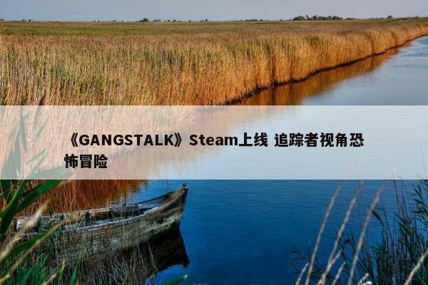 《GANGSTALK》Steam上线 追踪者视角恐怖冒险