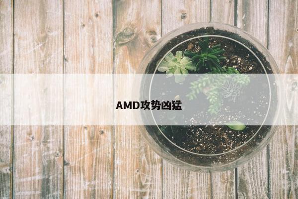 AMD攻势凶猛