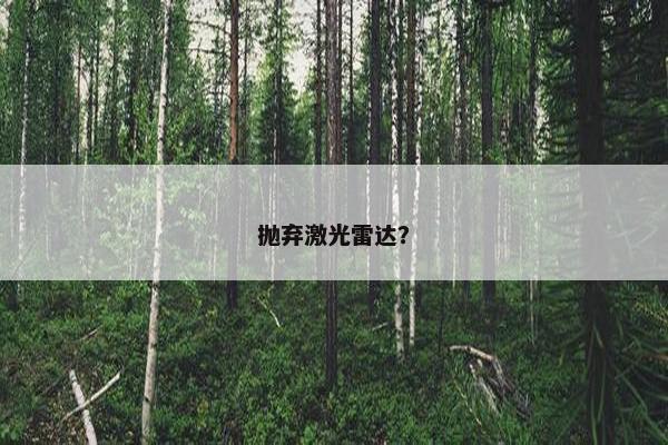 抛弃激光雷达？