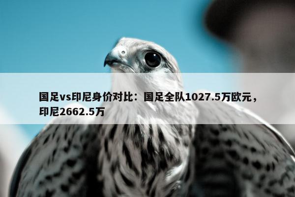 国足vs印尼身价对比：国足全队1027.5万欧元，印尼2662.5万