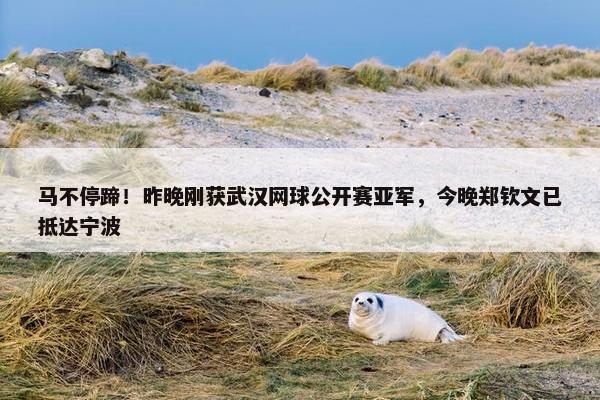 马不停蹄！昨晚刚获武汉网球公开赛亚军，今晚郑钦文已抵达宁波