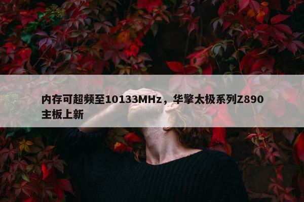 内存可超频至10133MHz，华擎太极系列Z890主板上新