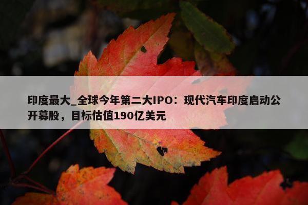 印度最大_全球今年第二大IPO：现代汽车印度启动公开募股，目标估值190亿美元