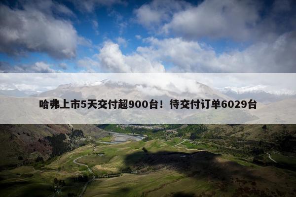 哈弗上市5天交付超900台！待交付订单6029台