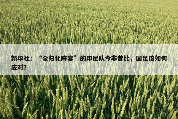 新华社：“全归化阵容”的印尼队今非昔比，国足该如何应对？