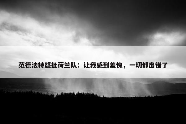 范德法特怒批荷兰队：让我感到羞愧，一切都出错了