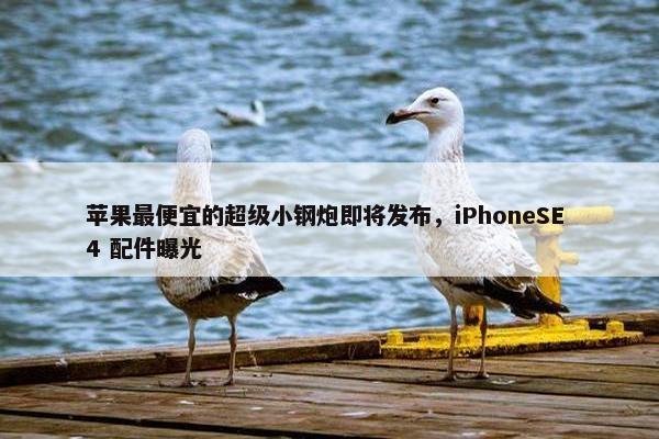 苹果最便宜的超级小钢炮即将发布，iPhoneSE 4 配件曝光