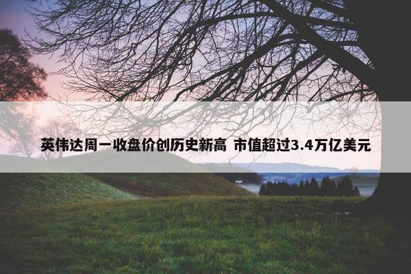 英伟达周一收盘价创历史新高 市值超过3.4万亿美元