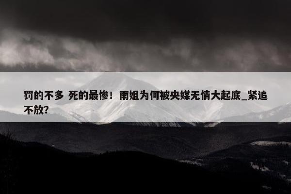 罚的不多 死的最惨！雨姐为何被央媒无情大起底_紧追不放？