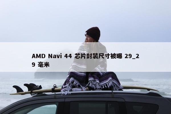 AMD Navi 44 芯片封装尺寸被曝 29_29 毫米