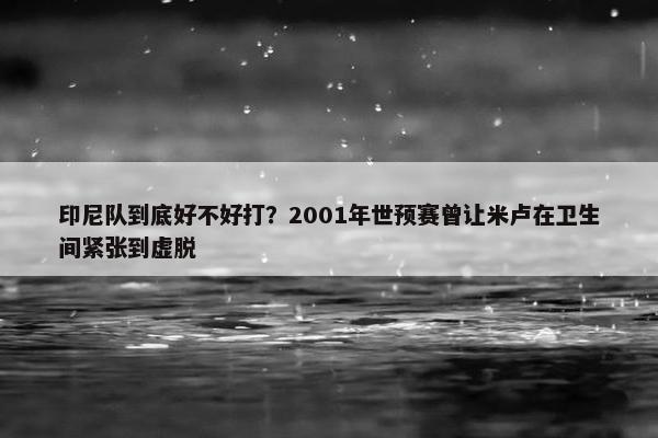 印尼队到底好不好打？2001年世预赛曾让米卢在卫生间紧张到虚脱