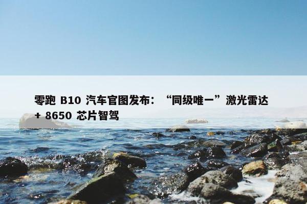 零跑 B10 汽车官图发布：“同级唯一”激光雷达 + 8650 芯片智驾