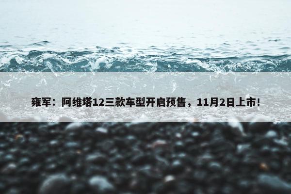 雍军：阿维塔12三款车型开启预售，11月2日上市！