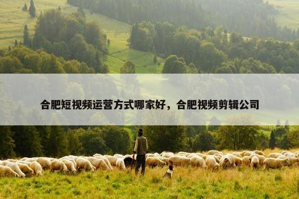 合肥短视频运营方式哪家好，合肥视频剪辑公司