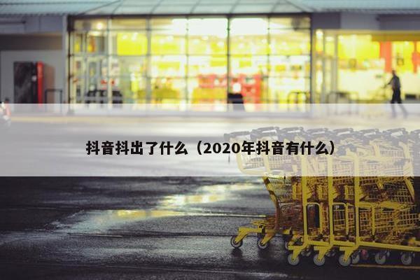 抖音抖出了什么（2020年抖音有什么）