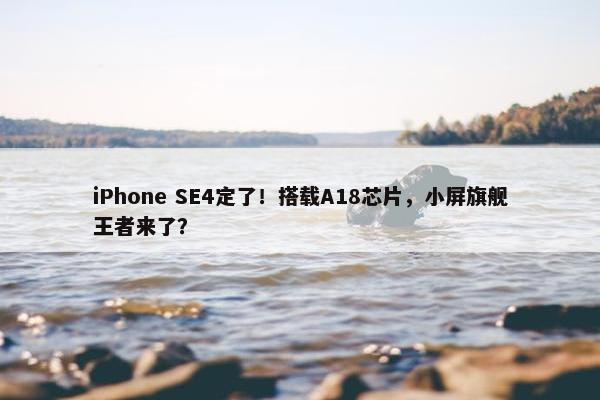 iPhone SE4定了！搭载A18芯片，小屏旗舰王者来了？