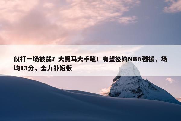 仅打一场被裁？大黑马大手笔！有望签约NBA强援，场均13分，全力补短板