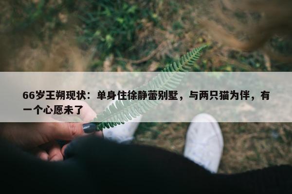 66岁王朔现状：单身住徐静蕾别墅，与两只猫为伴，有一个心愿未了