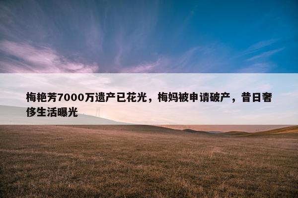 梅艳芳7000万遗产已花光，梅妈被申请破产，昔日奢侈生活曝光