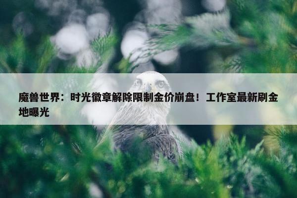 魔兽世界：时光徽章解除限制金价崩盘！工作室最新刷金地曝光