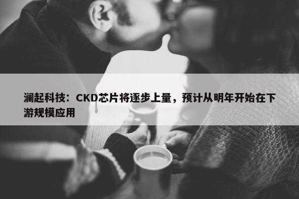 澜起科技：CKD芯片将逐步上量，预计从明年开始在下游规模应用