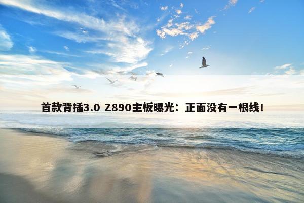 首款背插3.0 Z890主板曝光：正面没有一根线！