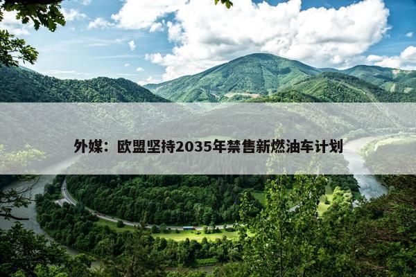 外媒：欧盟坚持2035年禁售新燃油车计划