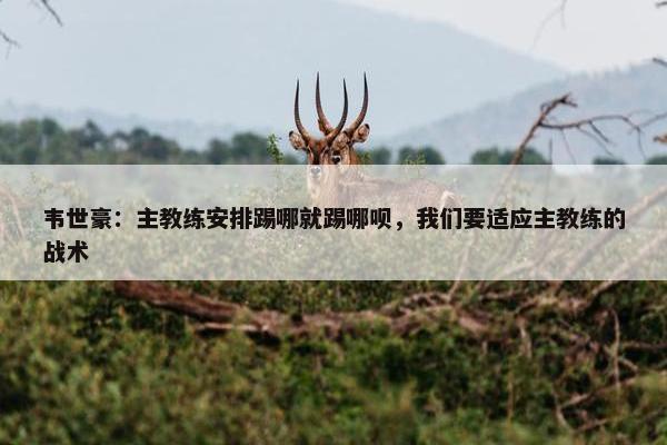 韦世豪：主教练安排踢哪就踢哪呗，我们要适应主教练的战术